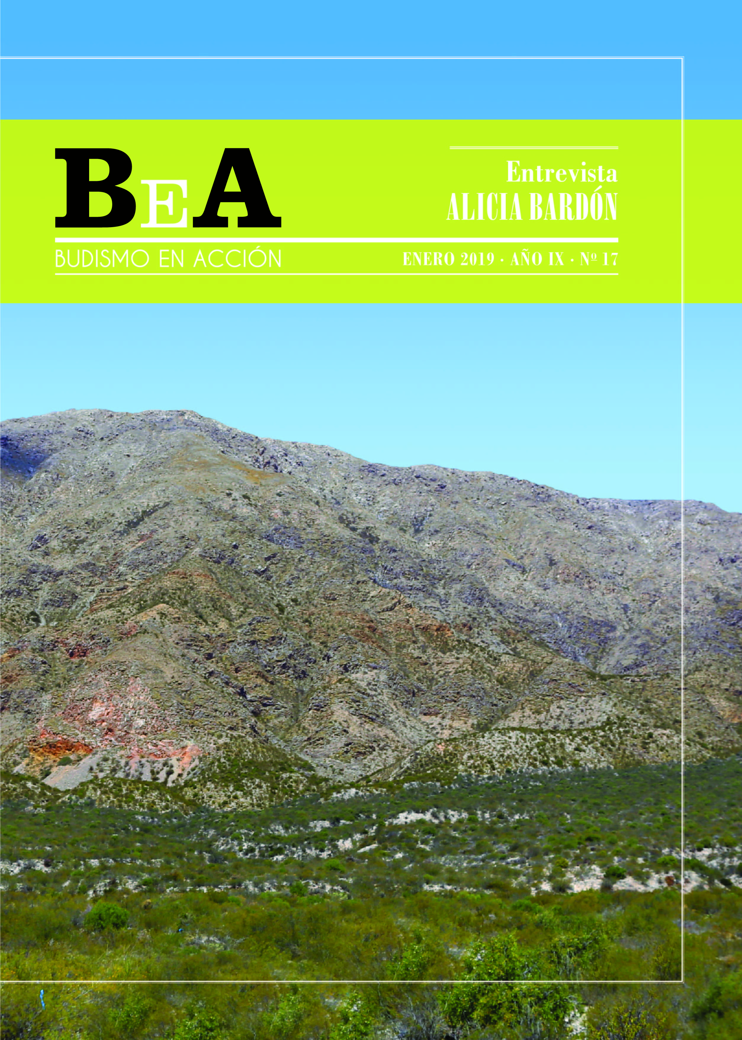Budismos en Acción Nº 17